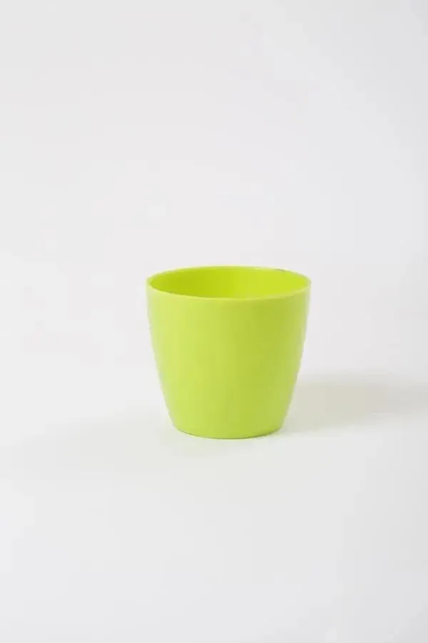 2.5 Inch Green Singapore Pot (67mm)