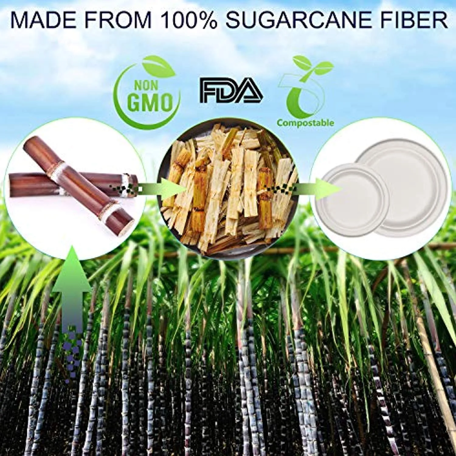 250 Pcs Disposable Dinnerware Set, Compostable Sugarcane Cutlery Eco-Friendly