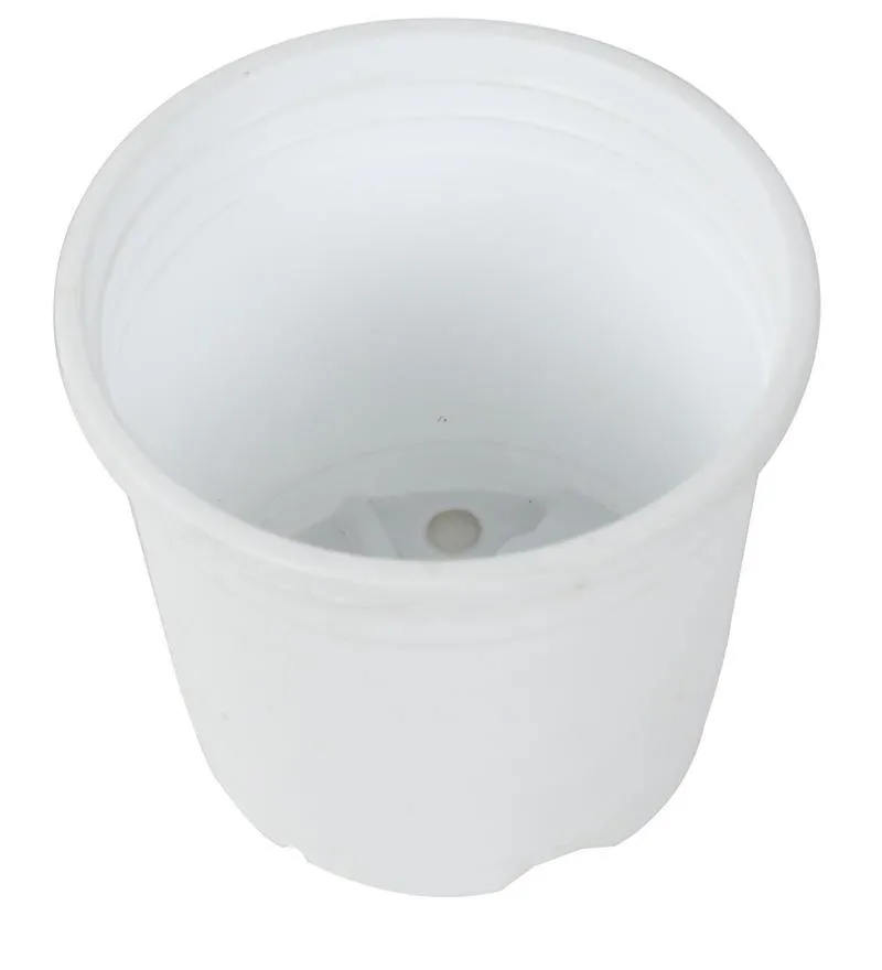 4" Flower Pot White Colour Sunrise Series (10 cm)