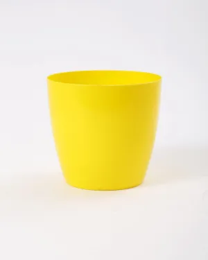 6 Inch Yellow Singapore Pot (160mm)