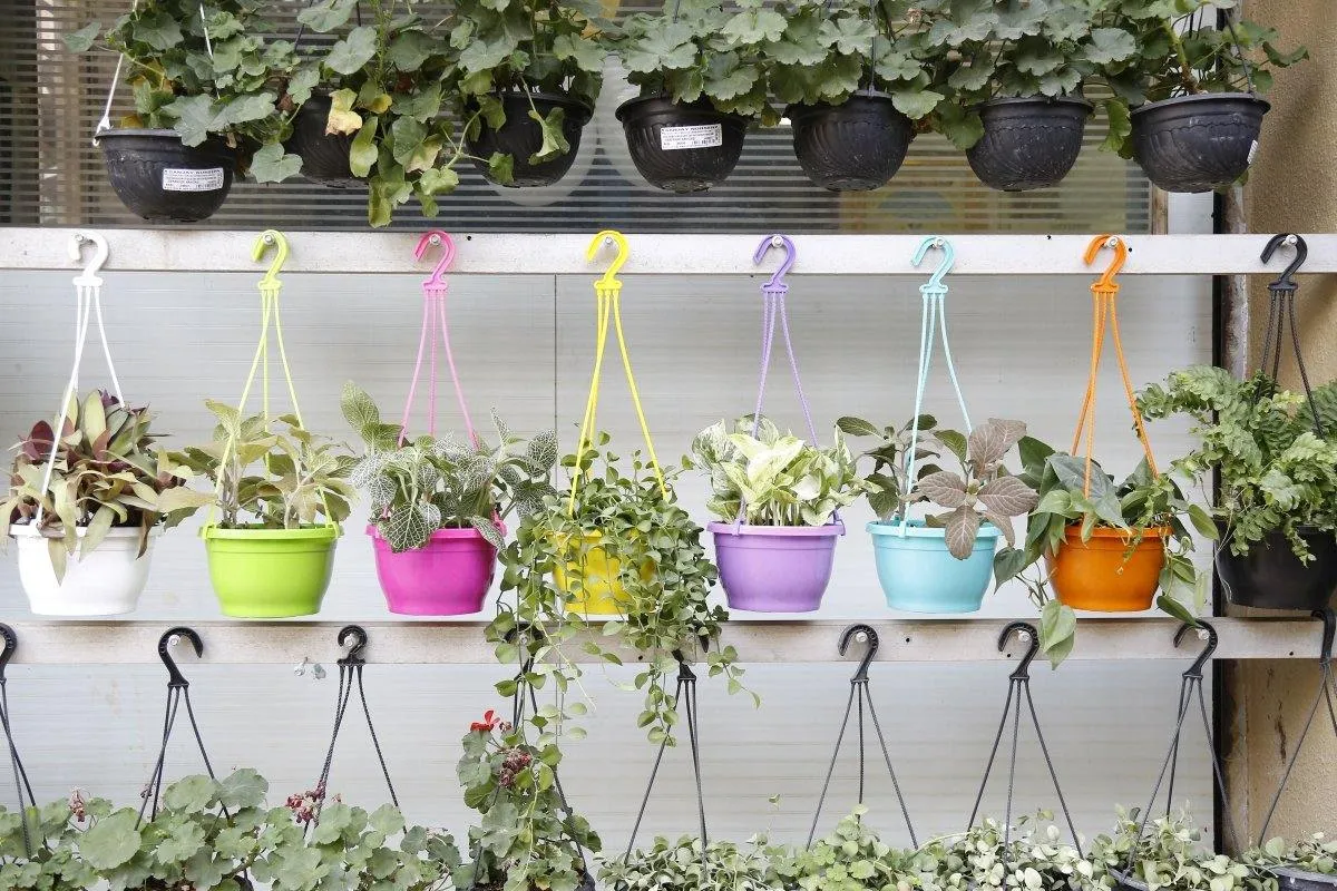 8 Inch Hanging Pot Multi (Pack of 6)