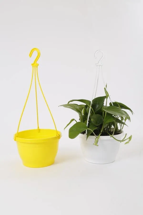 8 Inch Hanging Pot Yellow