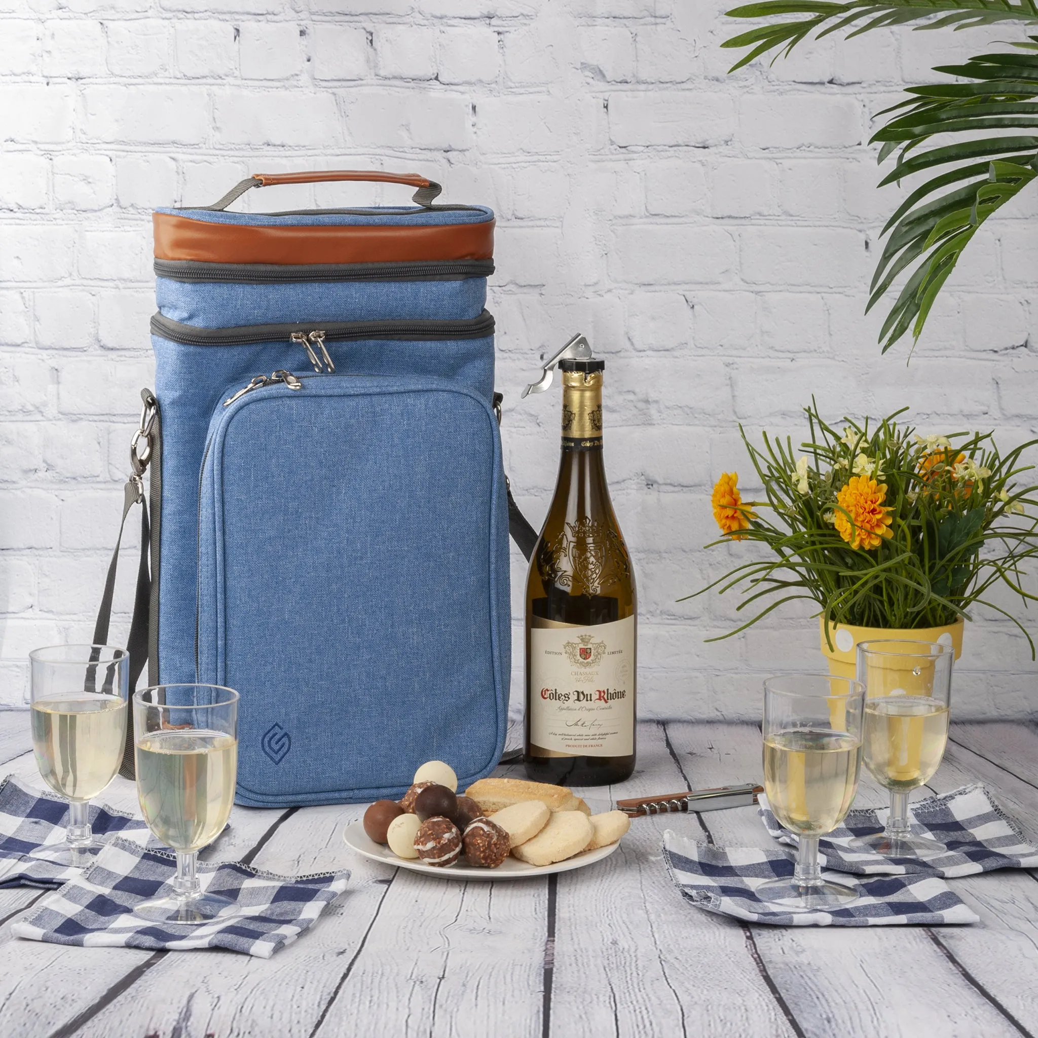 Contemporary 4 Person Wine Cooler Bag