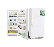 Frigidaire MRTW23V5PP Top Mount Refrigerators 220V