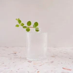 Glass Vase - Oval Ribbed